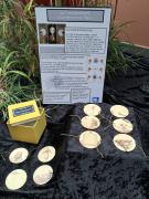 JeuxEtJouetsOptiques1500px11