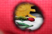 IMG5706